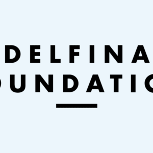 Delfina foundation