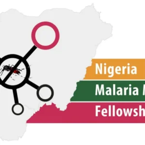 Malaria Modelling Fellowship 2025/2026 for Nigerian public health professionals. (Funded)
