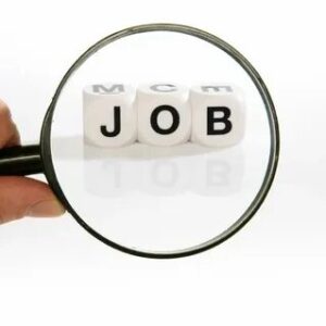 Visa Sponsorship jobs